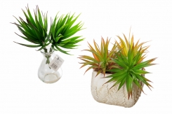 115 Veštačka dracena